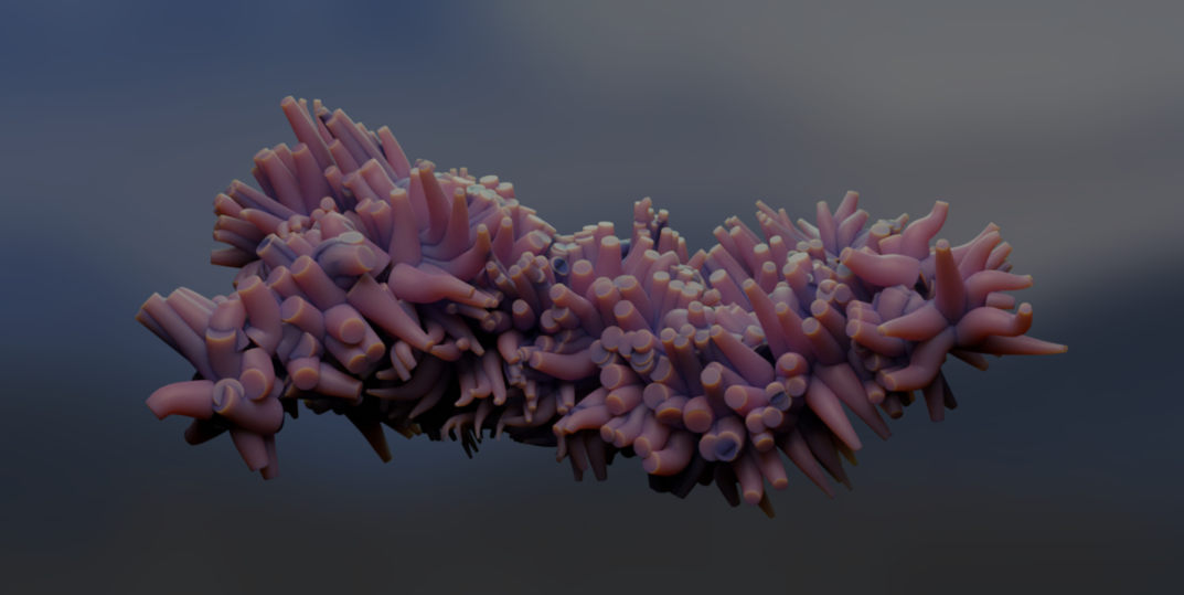 animation reel